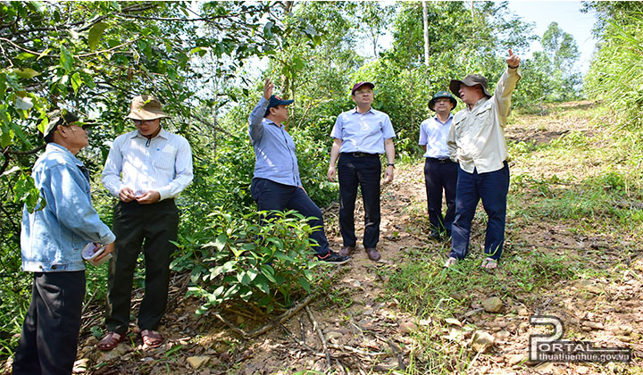 Phó Chủ tịch UBND tỉnh Hoàng Hải Minh kiểm tra tình hình quản lý bảo vệ, phát triển rừng tại Hương Thủy