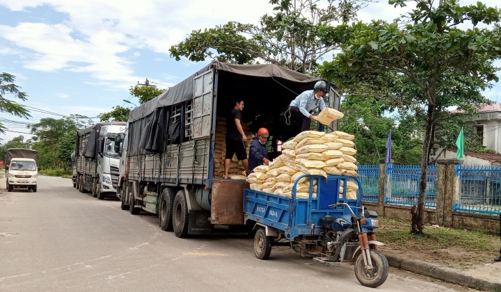 Cấp phát lúa giống về các địa phương để bà con nông dân kịp thời sản xuất vụ lúa hè thu năm 2022