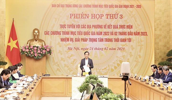 Phó Thủ tướng Chính phủ Trần Lưu Quang phát biểu tại phiên họp