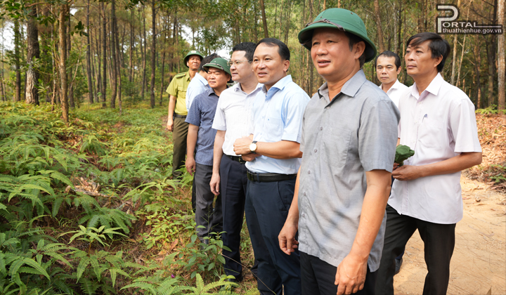 Lãnh đạo tỉnh kiểm tra công tác PCCCR tại địa bàn khu di tích Chín Hầm, phường An Tây, thành phố Huế